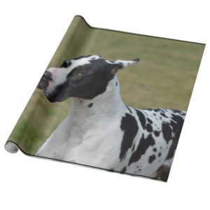 Harlequin Great Dane Wrapping Paper
