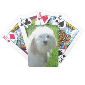 Havanese Bicycle Playing Cards