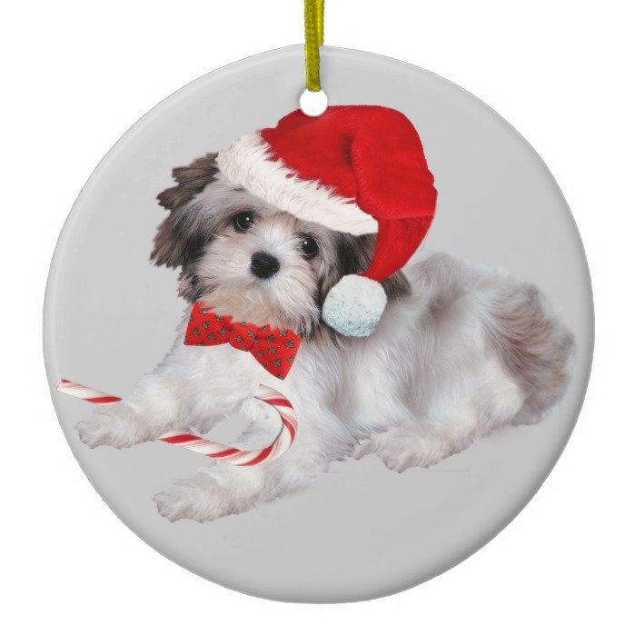 Havanese Christmas Ornament