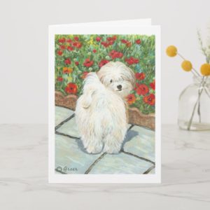 Havanese Dog and Poppies Art Print Cards