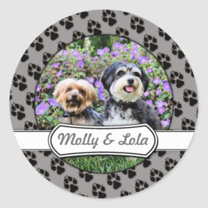 Havanese - Lola & Yorkie - Molly Classic Round Sticker