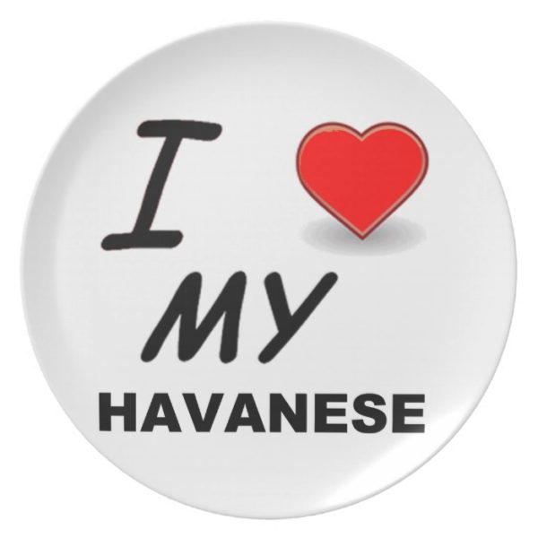 havanese love plate