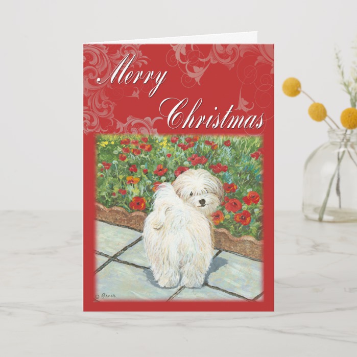 Havanese Poppy Christmas Gifts and Cards
