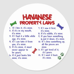HAVANESE Property Laws 2 Classic Round Sticker