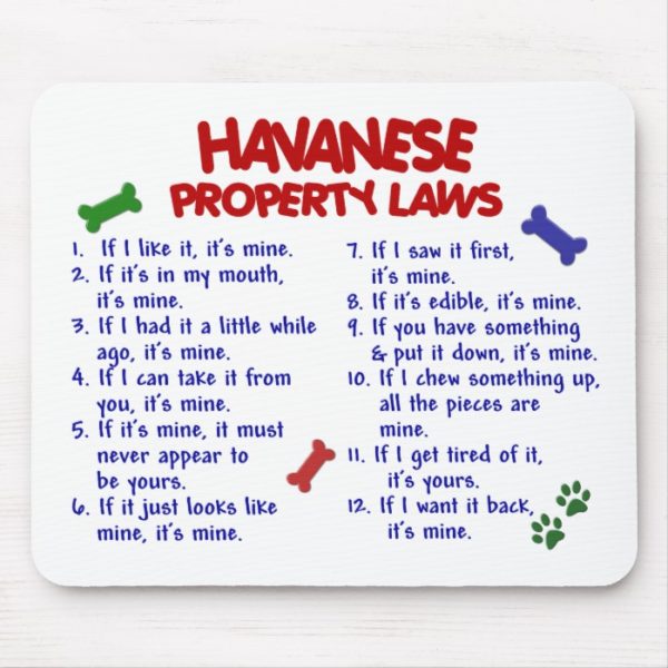 HAVANESE Property Laws 2 Mouse Pad