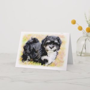 Havanese Puppy Greeting Cards