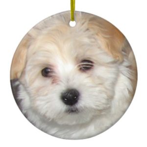 Havanese Puppy Ornament