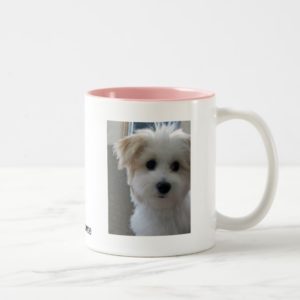 Havanese Puppy Two-Tone Coffee Mug
