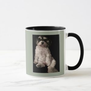 Havanese-put your dog's picture here mug
