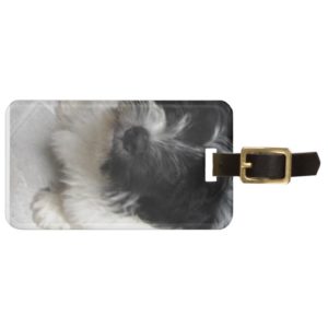 Havanese Rescue Puppy black and white Luggage Tag