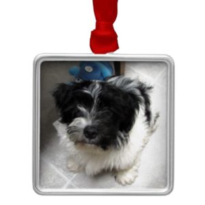 Havanese Rescue Puppy black and white Metal Ornament