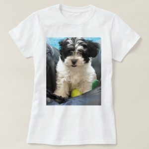 Havanese Rescue Puppy Black White T-Shirt