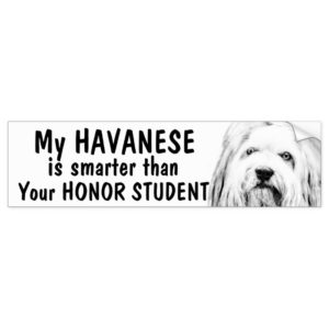 Havanese - Smarter than honor student - funny Bumper Sticker