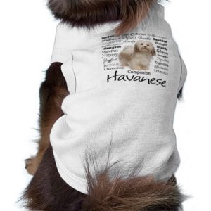 Havanese Traits Dog T-Shirt