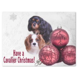Have A Cavalier Christmas! CKCS Tissues Paper