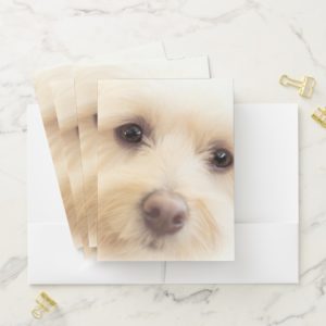 Heavenly Pup Pocket Folders