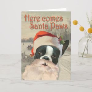 Here Comes Santa Paws Holiday Card