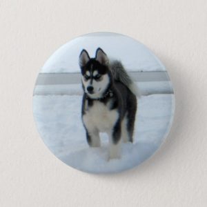 Here's Trouble Pinback Button