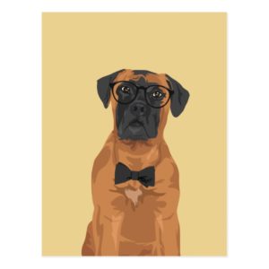 Hipster Bull Mastiff for Dog Lovers Postcard