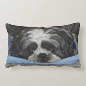 Huggable Shih Tzu Puppy Pillow