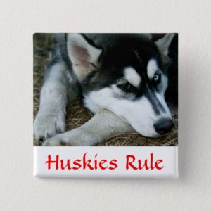 Huskies Rule Siberian Husky  Pin Button
