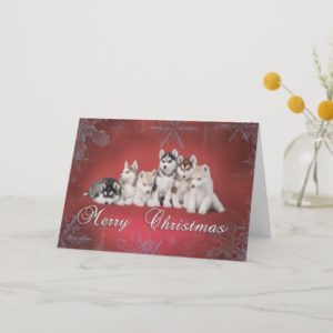 Husky christmas holiday card