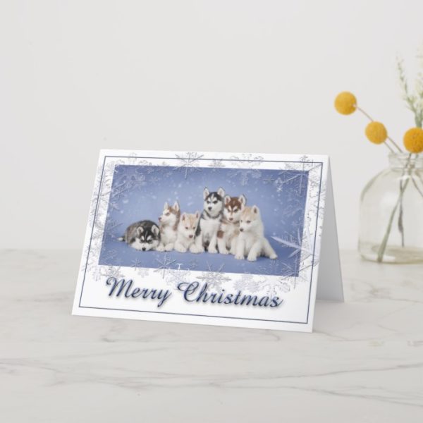 Husky Christmas Holiday Card