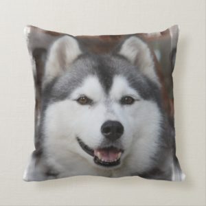 Husky Dog  Pillow