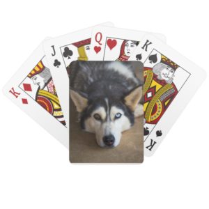 Husky Dog Playing Cards