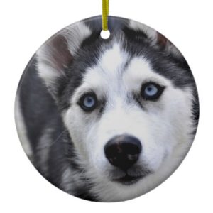 Husky Puppy Ornament