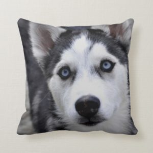 Husky Puppy Pillow