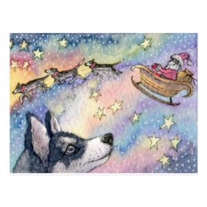 Husky Sleigh Dogs Postcard