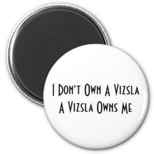 I Don't Own A Vizsla, A Vizsla Owns Me magnet