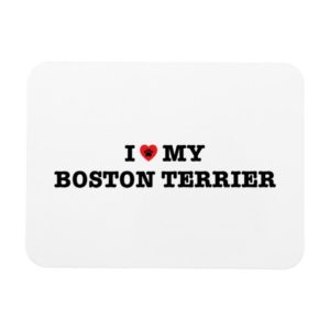 I Heart My Boston Terrier Flexible Magnet