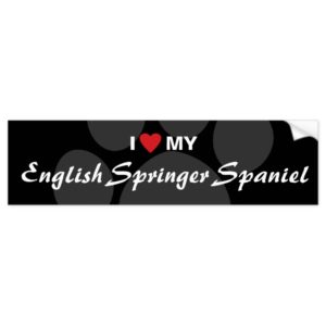 I Love (Heart) My English Springer Spaniel Bumper Sticker