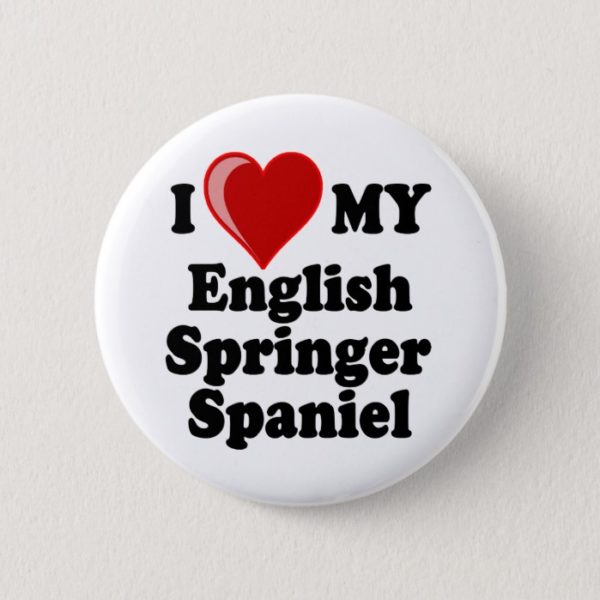I Love (Heart) My English Springer Spaniel Dog Button