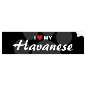 I Love (Heart) My Havanese Bumper Sticker