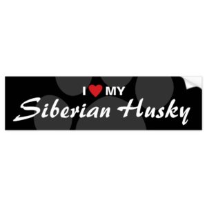 I Love (Heart) My Siberian Husky Bumper Sticker