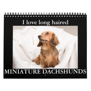 I LOVE long haired MINIATURE DACHSHUNDS Calendar
