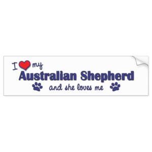 I Love My Australian Shepherd (Female Dog) Bumper Sticker