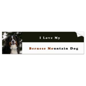 I Love My Bernese Mountain Dog Bumper Sticker