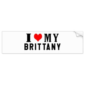 I Love My Brittany Bumper Sticker