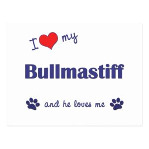 I Love My Bullmastiff (Male Dog) Postcard