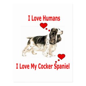 I Love my Cocker Spaniel Postcard