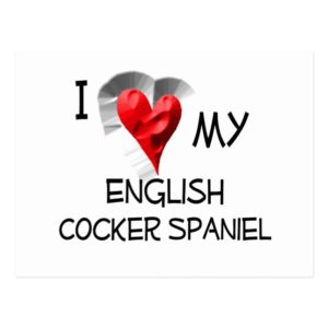 I Love My English Cocker Spaniel Postcard