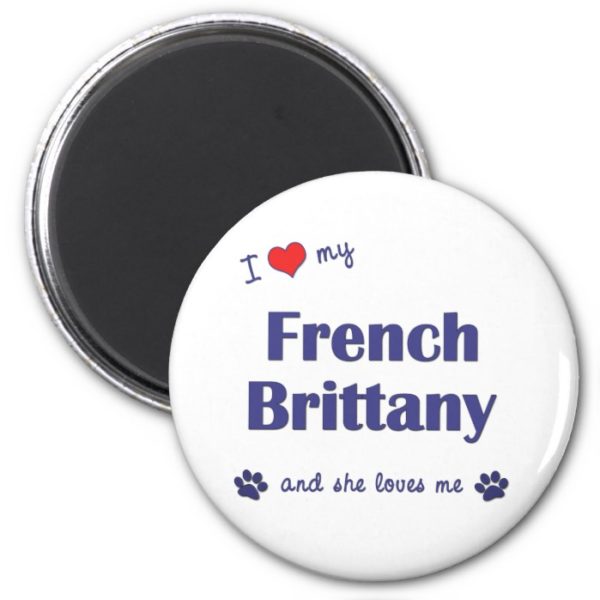 I Love My French Brittany (Female Dog) Magnet