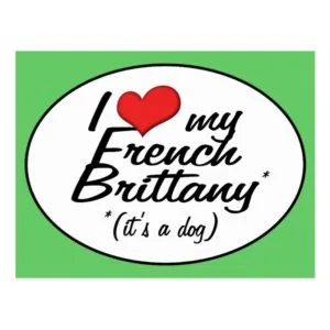 I Love My French Brittany (It's a Dog) Postcard