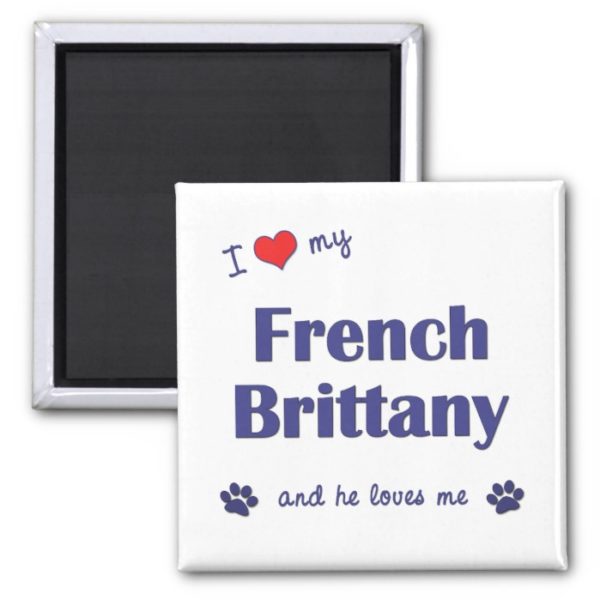 I Love My French Brittany (Male Dog) Magnet