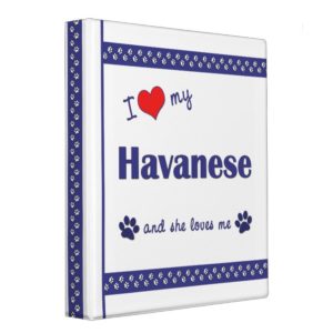 I Love My Havanese (Female Dog) 3 Ring Binder