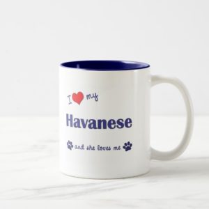 I Love My Havanese (Female Dog) Two-Tone Coffee Mug